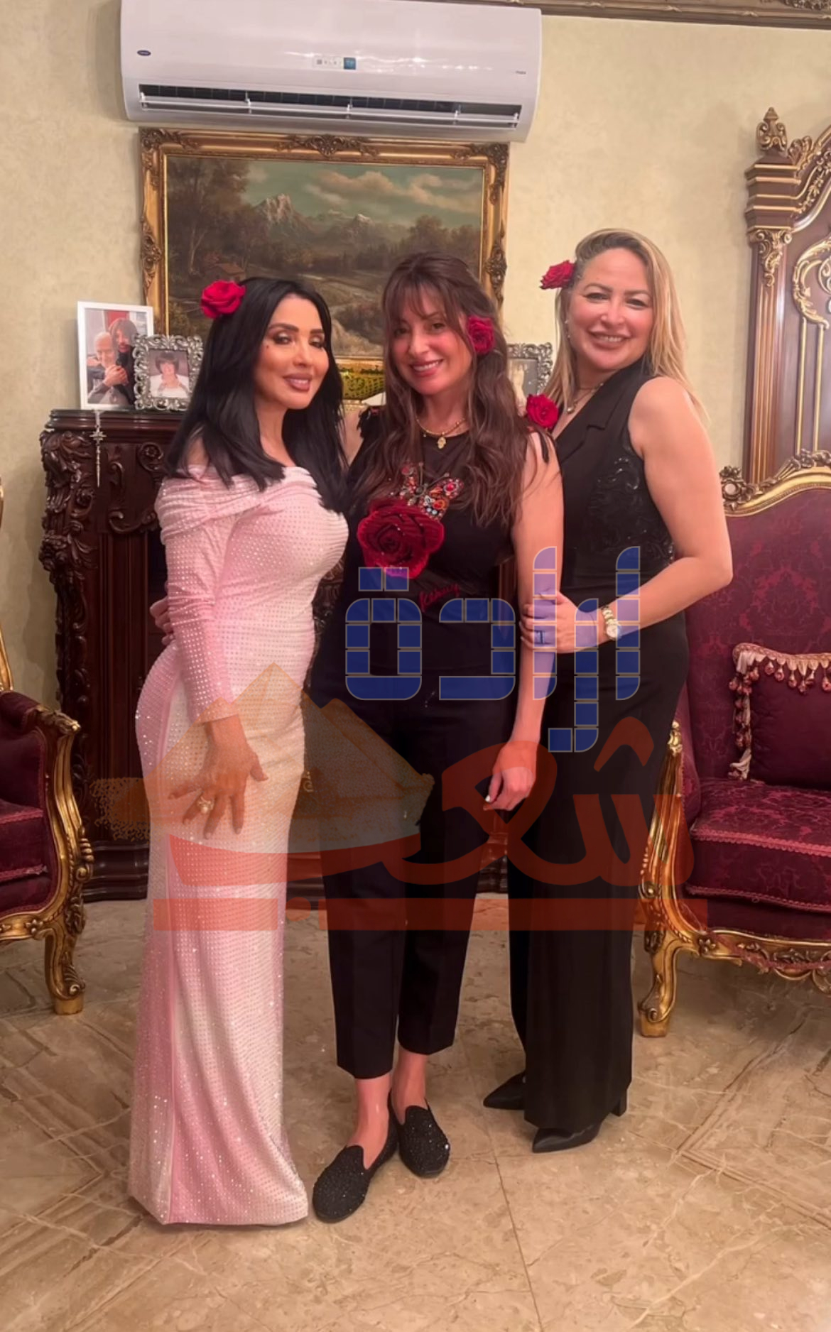 بالصور : أصدقاء “نرمين الفقى” فاجأوها فى عيد ميلادها 53
