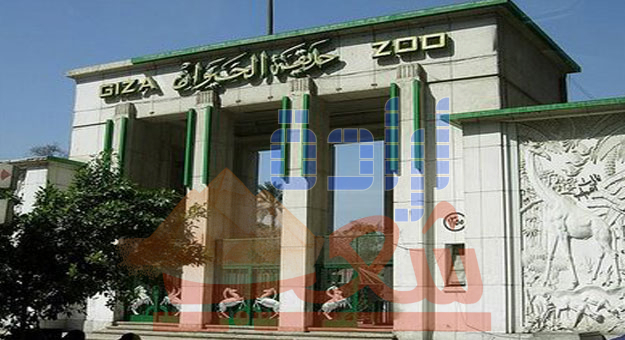 ميعاد فتح حديقة الحيوان بالجيزة