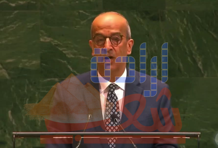 مندوب مصر الدائم في مجلس الأمن : أجرأ الكلمات فى تاريخها التى لم يجرؤ أحد على قولها