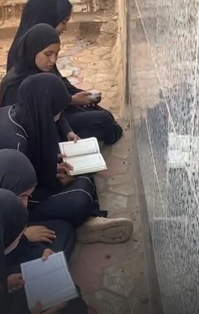 عرائس السماء أمام قبورهن: مراسم تكريم لشهداء العنب في المنوفية