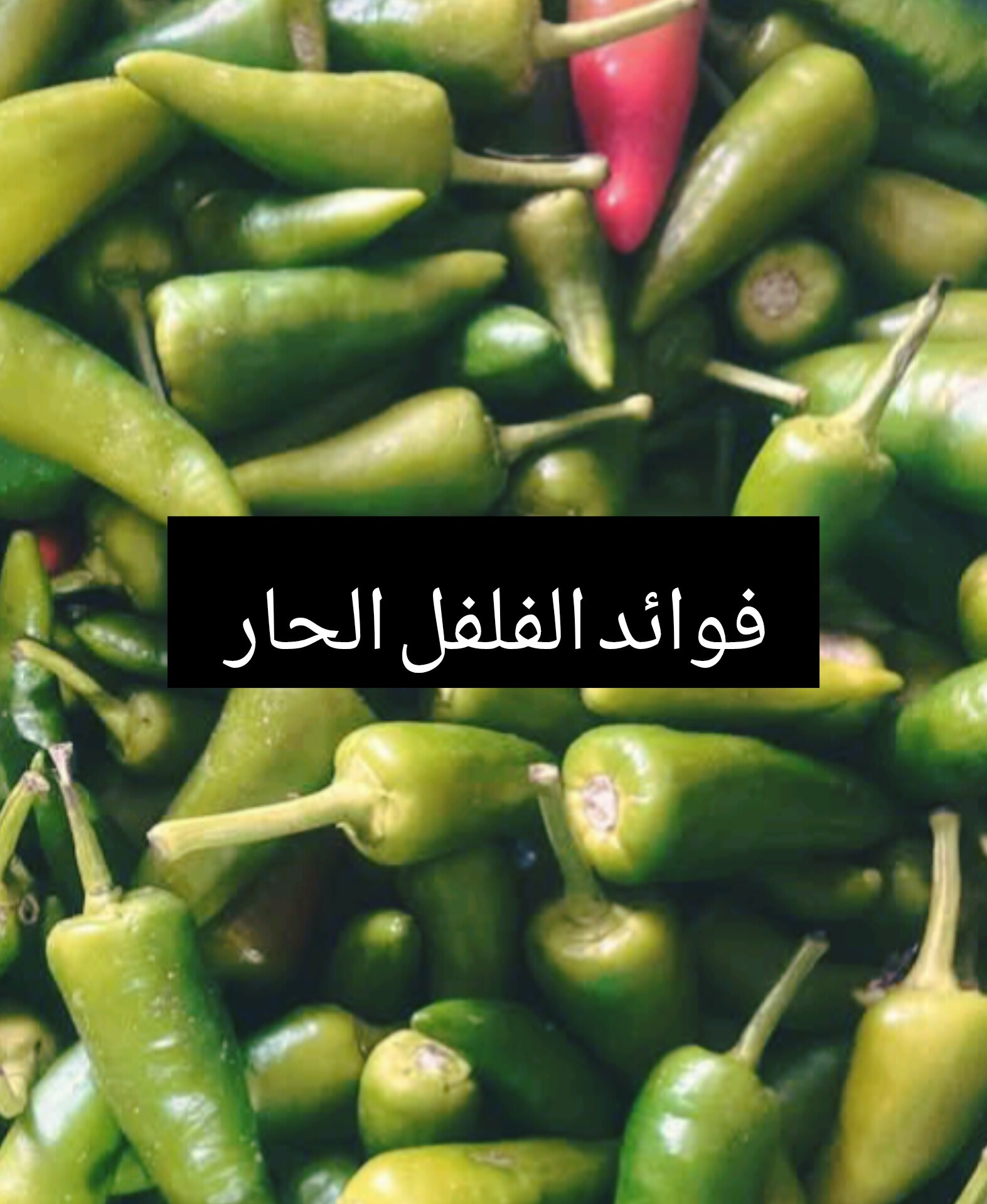 فوائد الفلفل الحار