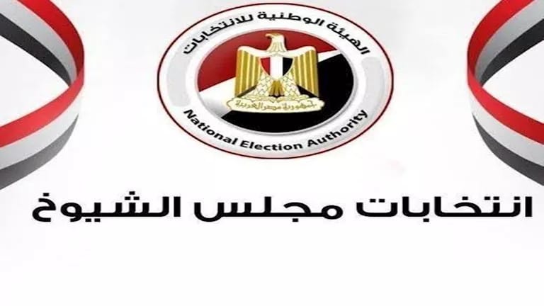 إقبال متزايد من المصريين بالخارج على التصويت في انتخابات مجلس الشيوخ