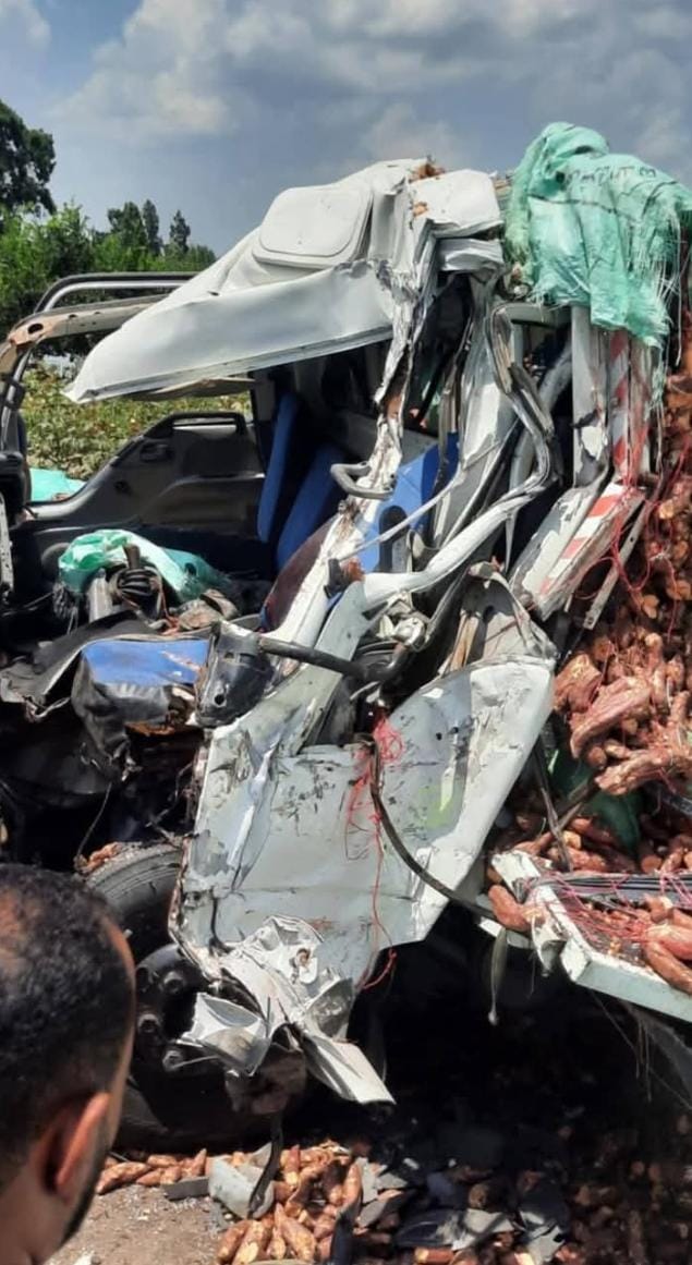 وفاة سائق في حادث تصادم بين سيارة نصف نقل وجرار زراعي بطريق أجا – المنصورة