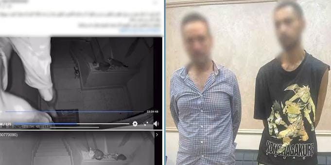 ضبط عامل وصاحب محل ذهب وراء سرقة أموال ومشغولات من شقة بالجيزة
