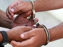 النيابة تُخلي سبيل المتهم بقتل الكلاب في حدائق الأهرام والسائق بكفالة 20 ألف جنيه لكل منهما