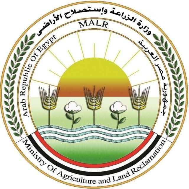 “الزراعة” تطلق الحملة القومية لتحصين الماشية ضد الحمى القلاعية والوادي المتصدع لحماية الثروة الحيوانية