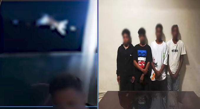 فيديو صادم يهز السوشيال ميديا.. ضبط 4 طلاب ألقوا «هرة» في النيل بغرض المزاح!