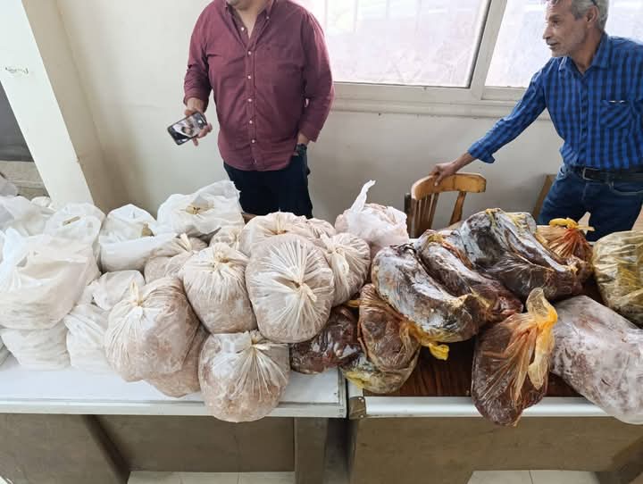 تموين أسيوط يضبط ٤٦٨ بطاقة تموينية بالمخالفه للقانون ويحرر ٢٣٦ محضر