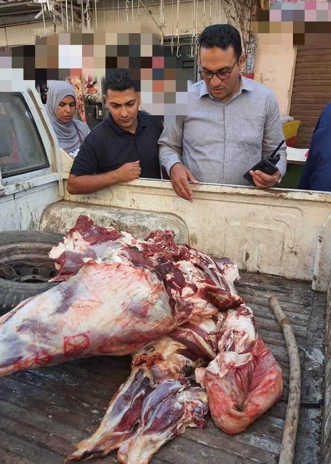 بيطري المنوفية يضبط 3 أطنان لحوم ودواجن وأسماك غير صالحة للاستهلاك الآدمي