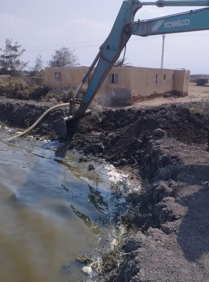 إزالة 10 مزارع سمكية مخالفة على أراضٍ زراعية جنوب بورسعيد