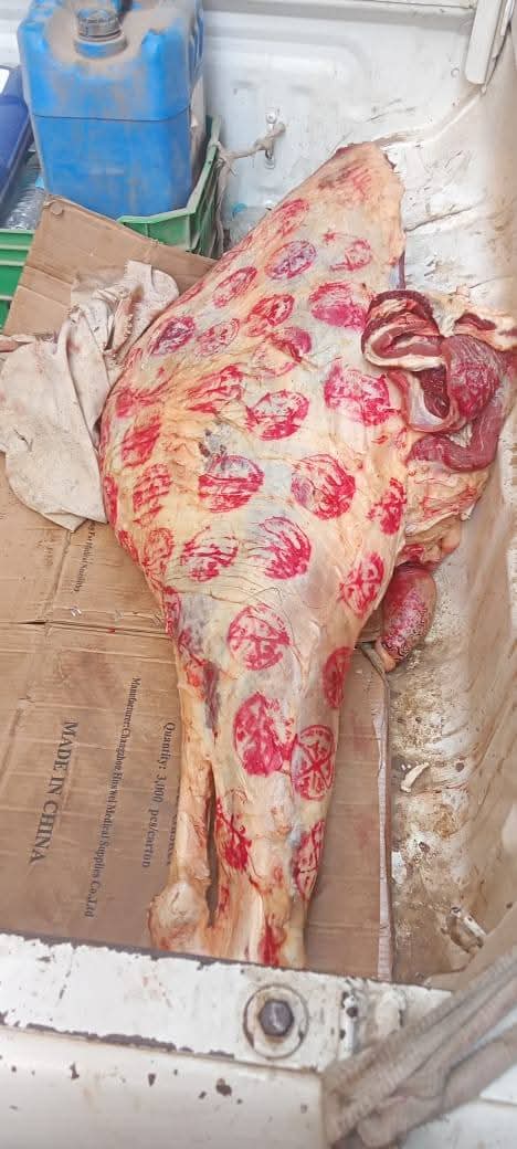 تموين أسيوط يضبط [ ١١٥٧ ] كيلو لحوم غير صالحه للاستهلاك الادمى