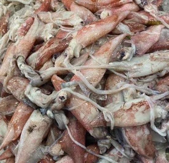 ضبط أكبر شحنة أغذية فاسدة بدمياط.. 5.6 طن جمبري وكاليماري وبطارخ مجهولة المصدر