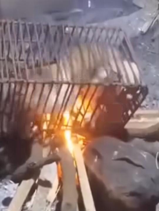 استياء واسع بعد واقعة تعذيب قطة وحرقها داخل قفص حديدي