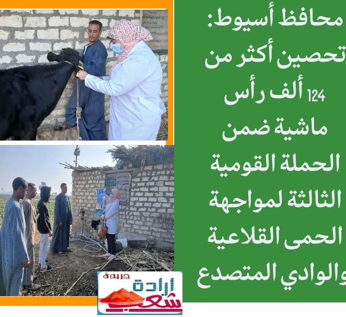 محافظ أسيوط: تحصين أكثر من 124 ألف رأس ماشية ضمن الحملة القومية الثالثة لمواجهة الحمى القلاعية والوادي المتصدع