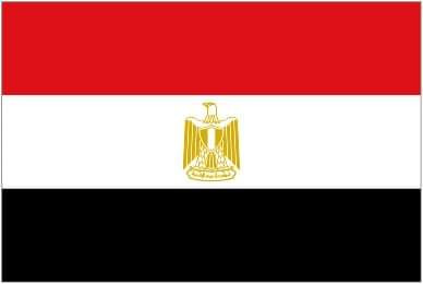 جريدة إرادة شعب | رياضة | نجوم الدورى الإنجليزى أسعدوا ليلتنا مع المنتخب