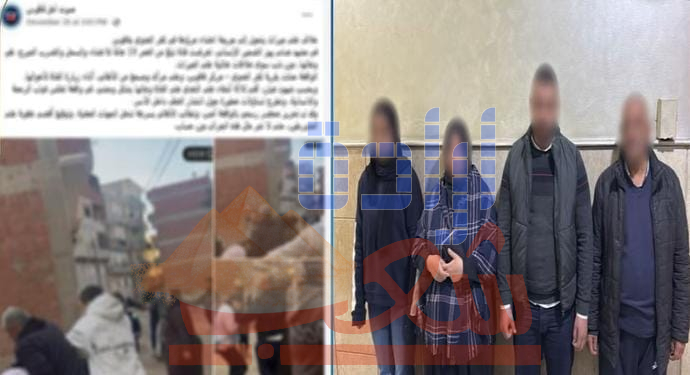 ضبط المتهمين في واقعة التعدي على طالبة بالشرقية بسبب خلافات على الميراث