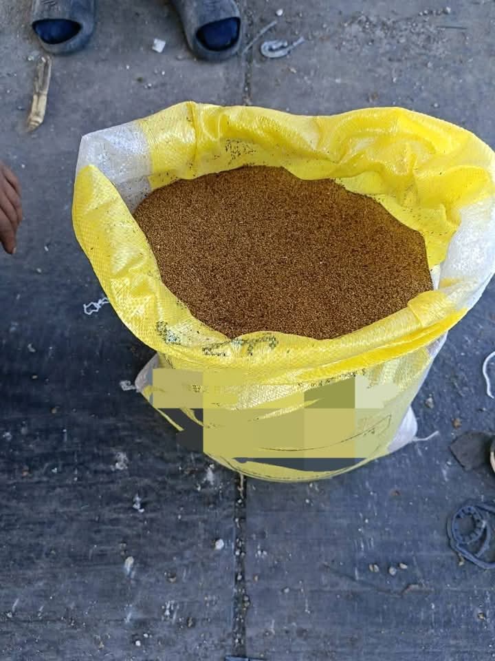 جمارك السلوم تضبط محاولة تهريب كمية من البذور الزراعية الموقوف تصديرها