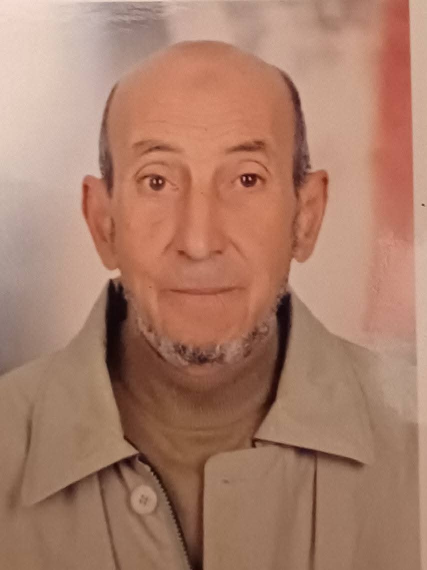 كلاب ضالة تفتك بمُسن في بورسعيد.. الأسرة تستغيث: نريد حماية قبل أن تتحول الشوارع إلى خطر دائم