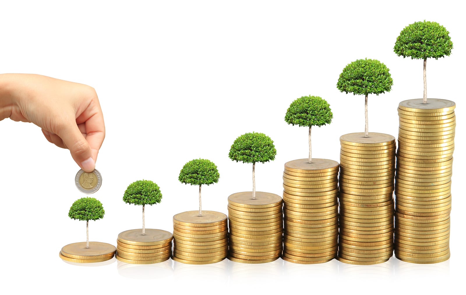 مصر تحشد تمويلًا خضرًا يعيد رسم مستقبل المناخ