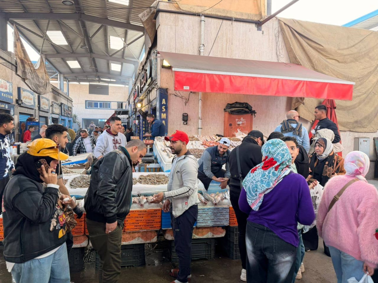 سياحة اليوم الواحد في بورسعيد الجمعه من كل اسبوع