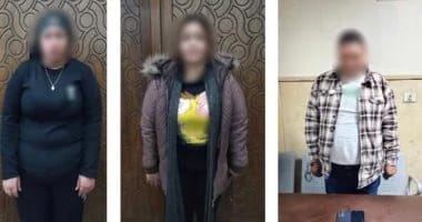 سقوط شبكة لممارسة أعمال منافية،