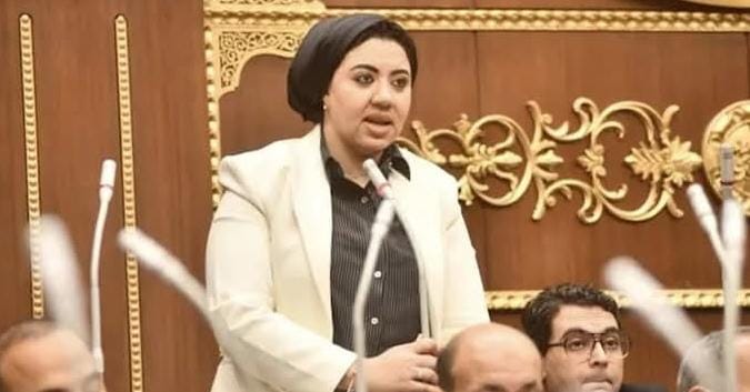 د. خالد منتصر: الهجوم على النائبة أميرة صابر يكشف تراجع الوعي بثقافة التبرع الإنساني