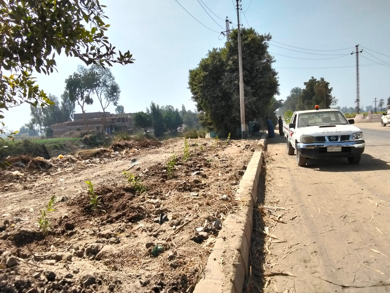 معًا لتشجير قرية أولاد عمرو”.. مبادرة لتحويل بؤر النفايات إلى مساحات خضراء بمركز قنا.