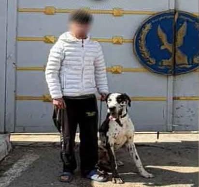 كلب غير مرخص يتحول إلى سلاح في مشاجرة بين طالبين بالقطامية بسبب معاكسة شقيقة أحدهما