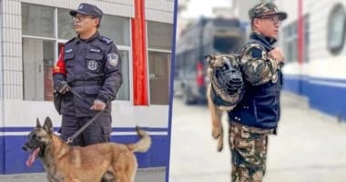 عيون لا تنام ..الكلاب البوليسية جنود الظل فى صيد عتاة الإجرام..