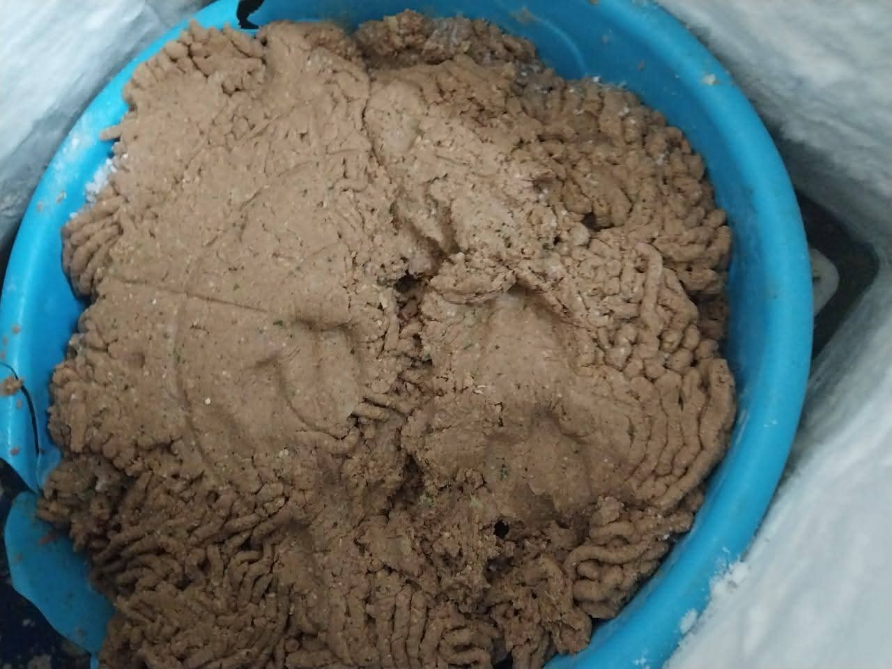 كارثة تموينية في بورسعيد.. ضبط معمل لحوم غير آدمي وغير مرخص قبل طرح منتجاته بالأسواق