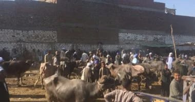 ضبط.. المتهم بقتل تاجر مواشى،